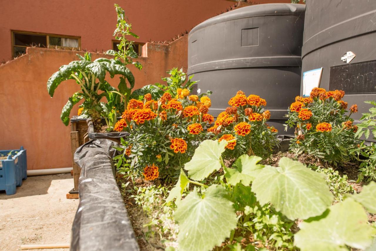Casa Estrella De La Valenciana Hotel Boutique Guanajuato Extérieur photo